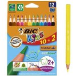 Bic Evolution Triangle 12 barev BIC 8871463 – Zboží Živě