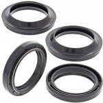 ALL BALLS sada olejových a prachových těsnění BMW K1 89-93, K100 RS 90-92, K1100LT 92-97, K1100RS 92-96 – Hledejceny.cz