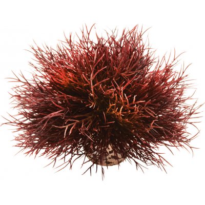 BiOrb Sea lilies karmínová 11 cm – Hledejceny.cz