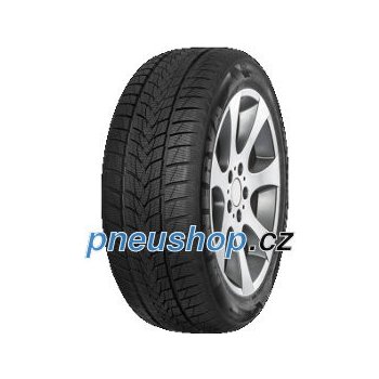 Minerva Frostrack UHP 205/55 R16 91H