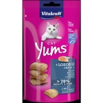 Vitakraft Yums losos 40 g – Zbozi.Blesk.cz