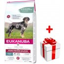 Eukanuba Adult Mono Protein Salmon 12 kg