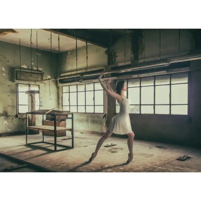 Fotografie - Martinussen, Baard: Digitální malba opuštěného baletu 5 - reprodukce obrazu