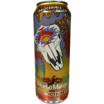 Arizona Spicy Mucho Mango with Mike's Hot Honey 0,65 l – Zboží Mobilmania