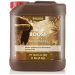 Canna BioBoost 1 L – Hledejceny.cz