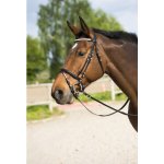 RIDING WORLD Diamond hnědá havana – Zboží Dáma