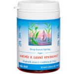 TCM Herbs Krůpěj z lesní studánky 100 tablet – Hledejceny.cz