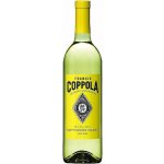 Alexander Valley Coppola Sauvignon Blanc Diamond Coll 0,75 l (holá láhev) – Hledejceny.cz
