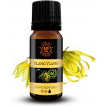 Altevita Bio esenciální olej 100% Ylang ylang 10 ml – Hledejceny.cz