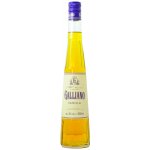 Galliano Vanilla 30% 0,5 l (holá láhev) – Hledejceny.cz