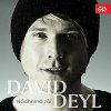 Hudba David Deyl – Nádherná zář MP3