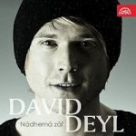 David Deyl – Nádherná zář MP3 – Hledejceny.cz