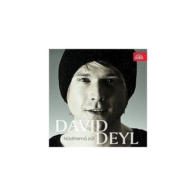 David Deyl – Nádherná zář MP3 – Hledejceny.cz