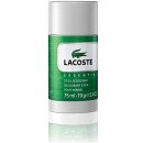 Lacoste Essential deostick 75 ml