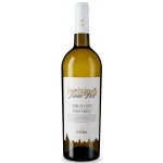 Citra Torre Viva Pinot Grigio 2025 Bílé suché 12% 0,75 l (holá láhev) – Hledejceny.cz