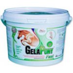 Orling Gelapony Fast 0,6 kg – Zboží Dáma