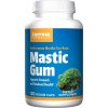 Doplněk stravy Jarrow Formulas pistácie Mastic Gum 500 mg 120 tobolek