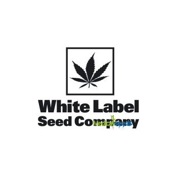 White Label Purple Bud Automatic semena neobsahují THC 3 ks