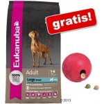 Eukanuba Adult Large Breed Weight Control 15 kg – Hledejceny.cz