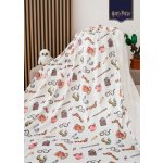 MKLuzkoviny.cz deka mikroplyš Harry Potter Nebelvír 1 150x200 – Zboží Dáma