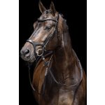 HKM Uzdečka Anatomic Sports černá – Zboží Mobilmania