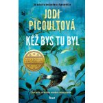 Kéž bys tu byl - Jodi Picoult – Zboží Dáma