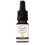 Les fleurs de Bach Kejklířka skvrnitá Mimulus 20 Bachovy květové bio esence 10 ml – Hledejceny.cz