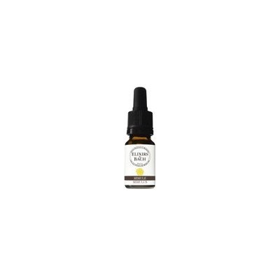 Les fleurs de Bach Kejklířka skvrnitá Mimulus 20 Bachovy květové bio esence 10 ml – Hledejceny.cz
