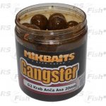 Mikbaits boilies Gangster v dipu 250ml 20mm G2 Krab & Ančovička & Asa – Sleviste.cz