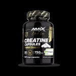 Amix Black Line Creatine Creapure Capsules 120 kapslí – Hledejceny.cz
