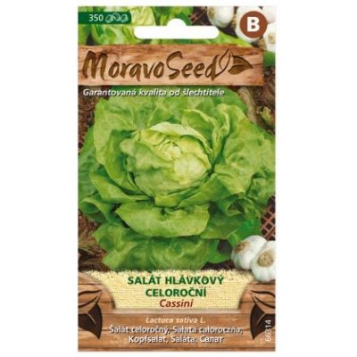 Semínka Salát hlávkový celoroční CASSINI, 350 s