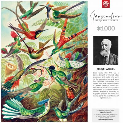 Good Loot Imagination Ernst Haeckel Hummingbirds Kolibry Puzzles 1000 dílků – Zboží Mobilmania