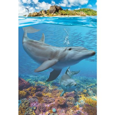 EUROGRAPHICS Delfíni XL 250 dílků – Zboží Mobilmania