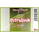 Bylinné kapky Ostružník tinktura 50 ml – Hledejceny.cz