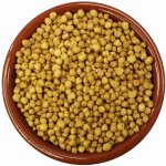 ZuPreem Essentials AvianBreeder Medium 1 kg – Hledejceny.cz
