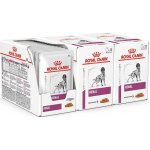 Royal Canin VHN Dog Renal 36 x 100 g – Hledejceny.cz