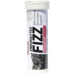 Hammer Endurolytes Fizz 100 g hrozny – Hledejceny.cz