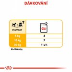 Royal Canin Dermacomfort Dog Loaf 12 x 85 g – Zboží Mobilmania