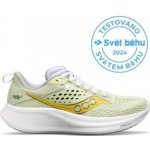 Saucony Ride 17 Womens Shoes Fern/Cloud – Hledejceny.cz