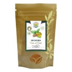 Salvia paradise vilcacora mletá kůra 90 g – Hledejceny.cz