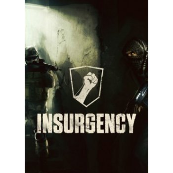 Insurgency