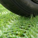 GrassRoll Extra Zatravňovací 2 x 15 m zelená 1 ks – Hledejceny.cz