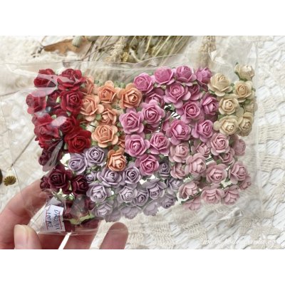 Sapaimport Růžičky midi - mix 100 ks Množství: balení 100 ks – Hledejceny.cz