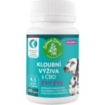 Zelená Země Zelená země Kloubní výživa pro psy s CBD, 60 ks – Hledejceny.cz