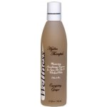 Hanscraft Wellness Energizing Ginger 245 ml – Zboží Dáma