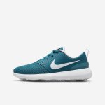 Nike Roshe G Jr marina blue – Zbozi.Blesk.cz