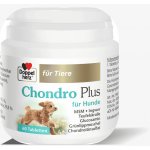 Doppelherz Chondro Plus pro psy 60 tbl 90 g – Hledejceny.cz