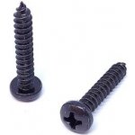 Šroub do plechu s půlkulatou hlavou a drážkou PH, DIN 7981C, zinek černý 3,5 x 16 - hobby balení, balení 1 ks – Zboží Mobilmania
