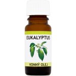 Anděl Přerov Olej vonný Eukalypt 10 ml – Hledejceny.cz