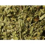 Hadek Šalvěj lékařská 10 ml – Hledejceny.cz